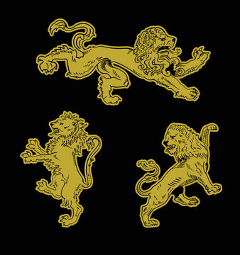 Lion patch.heraldic graphic of ancient lion. luxury rampant animal illustration in white background.