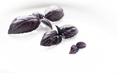 Purple basil leaves on a plate