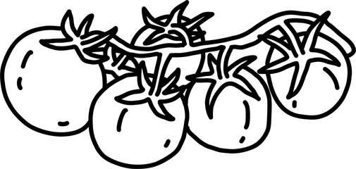 doodle outline freehand sketch drawing of tomato vegetable.