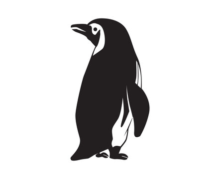 recommend clip art: penguin illustration