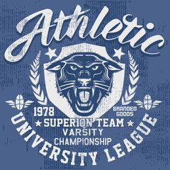 Varsity sport . t-shirt design for apparel