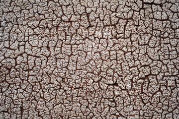 closeup texture cracked wall paint