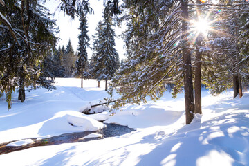 Beautiful winter landscape with river, snowdrifts and northern sun in coniferous forest

