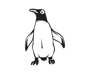penguin illustration