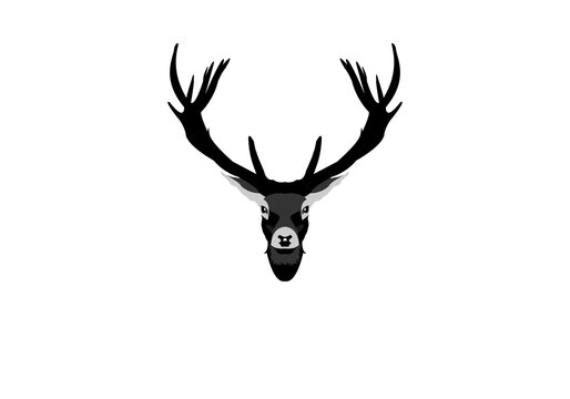 Deer hunter logo types, templates and vectors