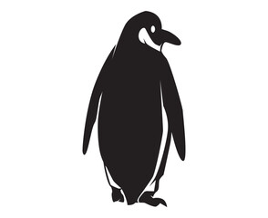 penguin illustration