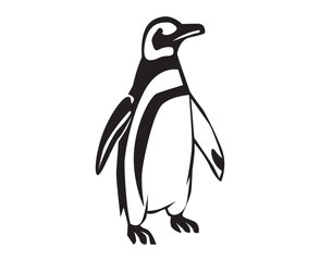 Fototapeta premium penguin illustration