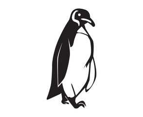 penguin illustration
