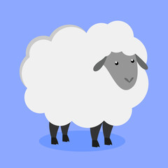 sheep on a blue background