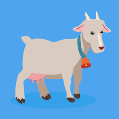 gray goat with a bell around its neck