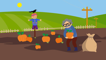 Grandfather collects pumpkins in the garden, a crow sits on a scarecrow