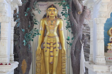 Beautiful dieties at a Jain temple in India. Located in Karamdi, Madhya Pradesh - Shri Shatrunjay...