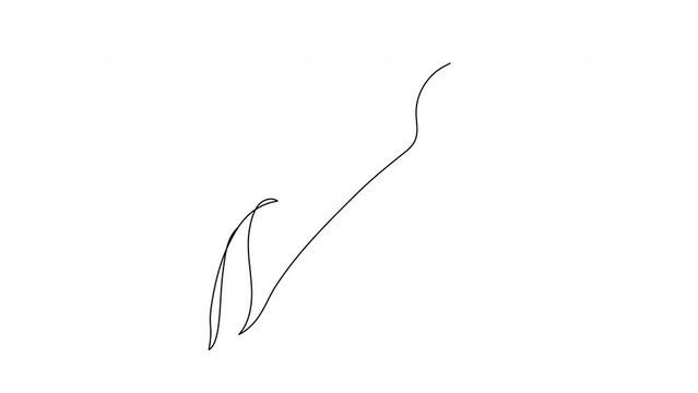 Self drawing animation of tulip flower drawn by one continuous line. Beautiful blossoming natural flower with leaf.