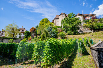 La Cité médiévale de Gruyères en Suisse
