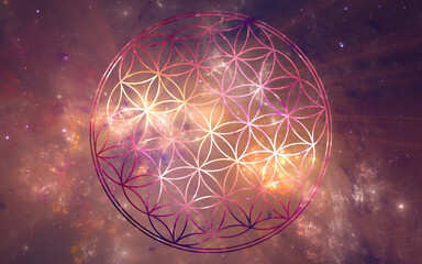Sacred geometry Flower of Life with fractal space background. Background image also available separately - search for 529438297 in Images. Gold, pink, purple. - obrazy, fototapety, plakaty