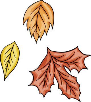 Autumn leaves set, isolated on white background. cartoon flat style. Isolated vector illustration. Design for stickers, logo, web and mobile app.