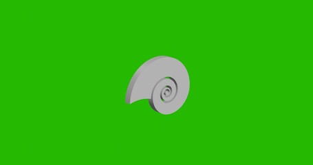 Isolated realistic white marine nautilus symbol front view with shadow. 3d illustration on green chroma key background