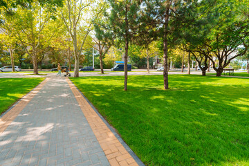 city park in day, beautiful nature, trees and lawns, late summer and early autumn season, the path of paving slabs, urban architecture, street and random people
