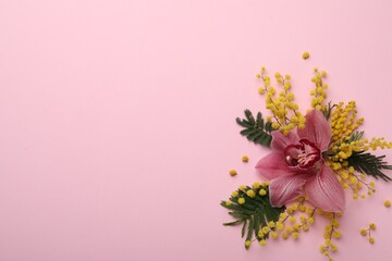Beautiful floral composition with mimosa flowers on pink background, flat lay. Space for text