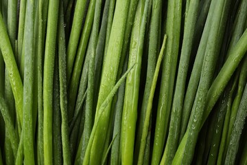 Fresh green spring onions with water drops as background, top view