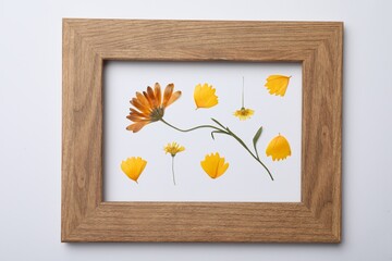 Frame with wild dried meadow flower and petals on white background, top view