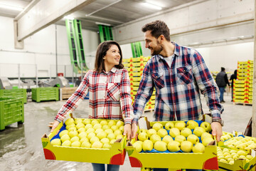 The workers carry crates with apples in storage and having eye contact.