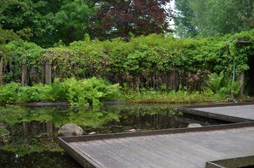 Fototapeta premium Beautiful view of wooden pond bridge and green plants in park
