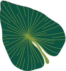 leaf plant illustration