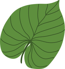 leaf plant illustration