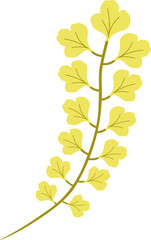 Obraz premium leaf plant illustration