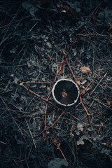 Mystic background with ritual esoteric objects: pentagram and mushroom. occult and Halloween concept. magical esoteric ritual. top view