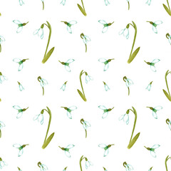 Hand drawn watercolor snowdrop flowers and leaves seamless pattern on white background. Can be used for textile, Scrapbook design, banner, greeting card, invitation.