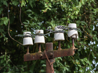 Four old white porcelain insulators perched on top of a rusty and dilapidated post where several old wires are attached next to leaves and branches of vegetation