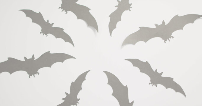 Image of halloween text over spider and bats on grey background