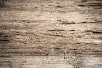 Obraz premium old wood background