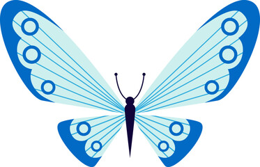 Colorful butterfly insect. Vector illustration