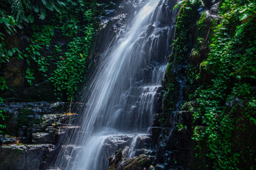 Obraz premium A waterfall in the middle of a forest with a stone wall around it