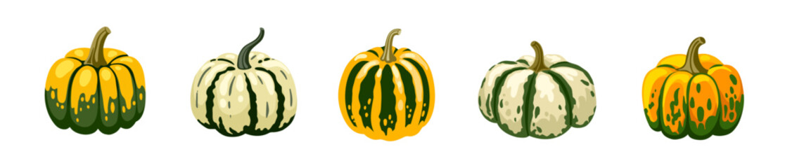 Colorful decorative pumpkins set. Spotted striped gourds collection. Autumn fall vegetable. Vector hand drawn isolated illustration.