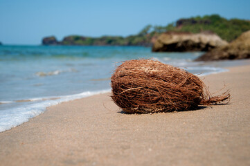Fresh coconut on a sandy beach against the background of the sea. Sea Wave Beach Resort, Travel Vacation Luxury Freshness Maldives Thailand Indonesia