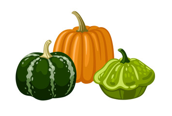 Striped spotted pumpkins, gourds and squash of different shape and colors. Hand drawn vector illustration for postcard, invitation, banner.