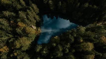 Jezioro pośród drzew © Katarzyna