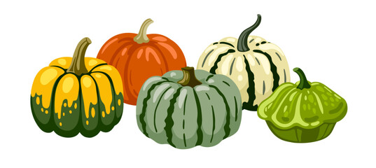 Gourds of different types, shapes and colors. Textured, spotted and striped pumpkins. Still life horizontal composition. Hand drawn vector illustration.