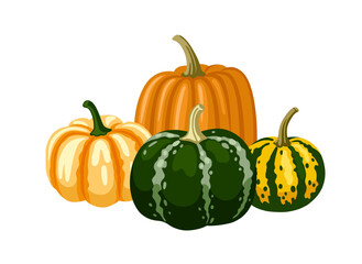 Striped pumpkins and gourds of different shape and colors. Hand drawn vector illustration for postcard, invitation, banner.