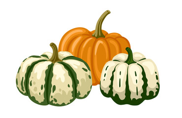Textured, spotted and striped pumpkins and gourds of different shape and colors. Hand drawn vector illustration for postcard, invitation, banner.