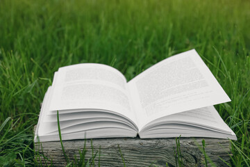 Open book on log among green grass outdoors