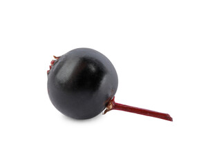Delicious ripe black elderberry isolated on white