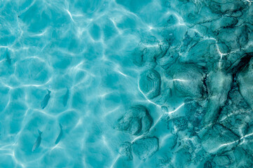 Water background, turquoise shallow sea water. Beautiful texture of sun glare on the water.