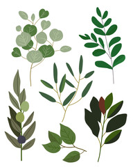 set of leaves ,Foliage