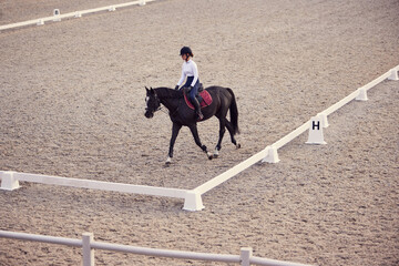 Female rider on horseback riding trot around the sandy arena in countryside, in summer day, outdoors. Dressage of horses. Horseback riding