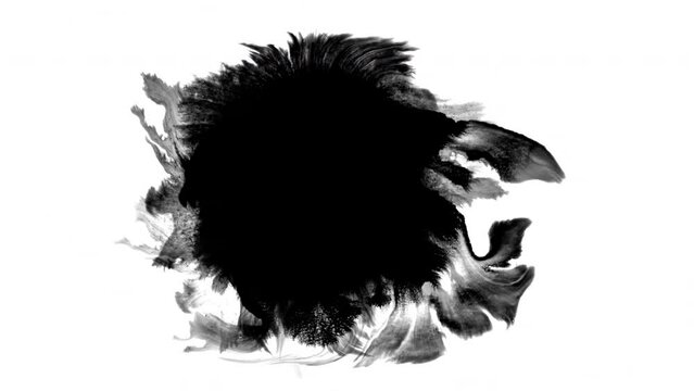 Ink Blot